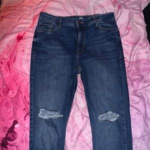 Distressed Hi Waist Skinny Jeans